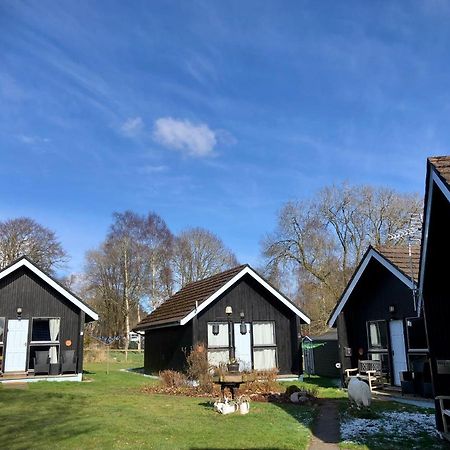 Kilcoy Chalets Мьюир-оф-Орд Экстерьер фото