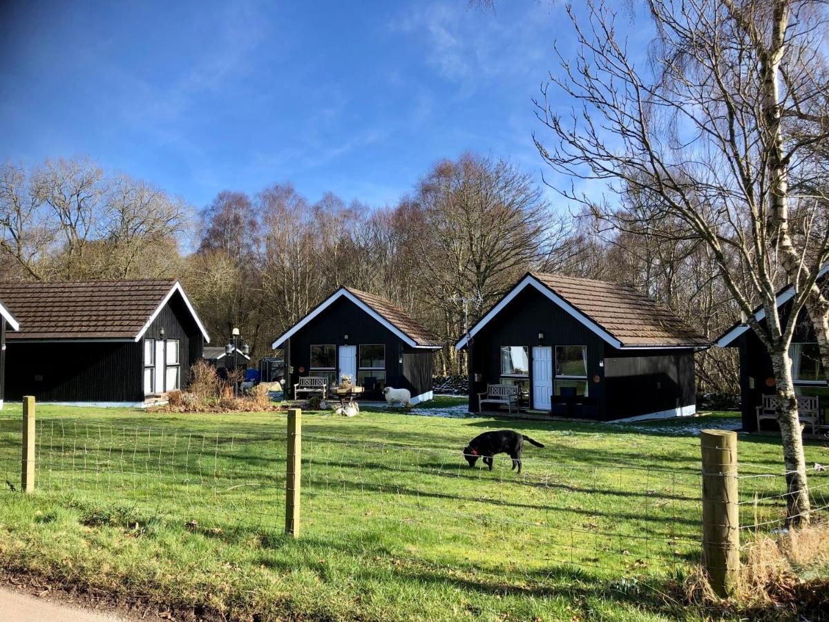 Kilcoy Chalets Мьюир-оф-Орд Экстерьер фото