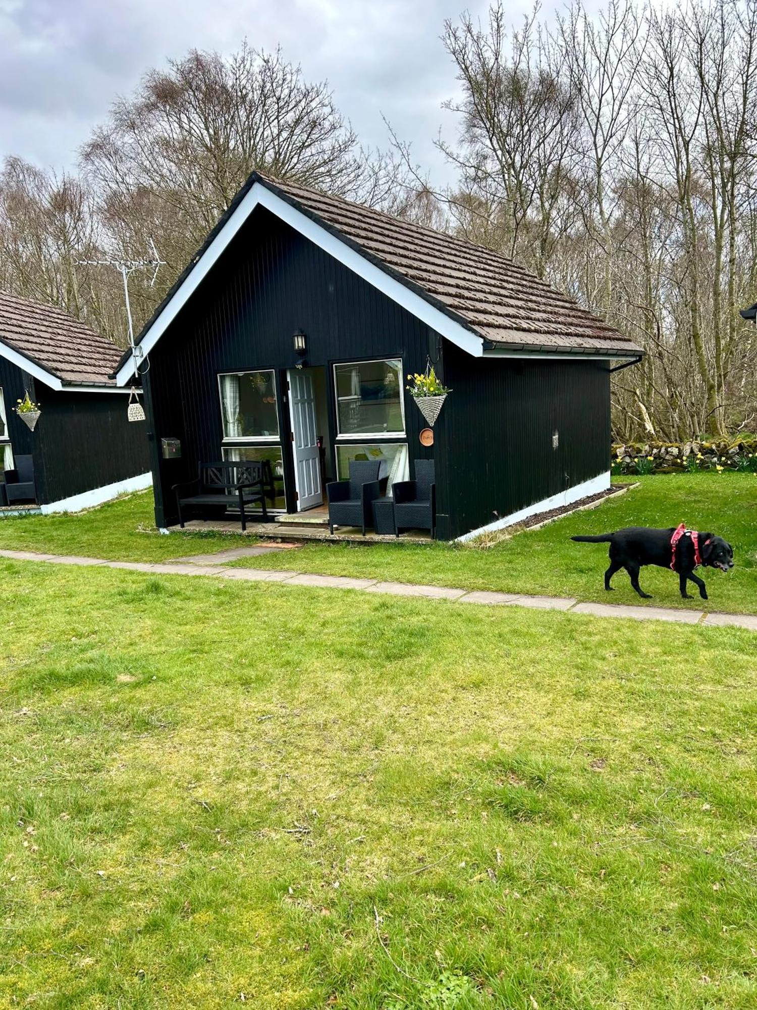Kilcoy Chalets Мьюир-оф-Орд Экстерьер фото